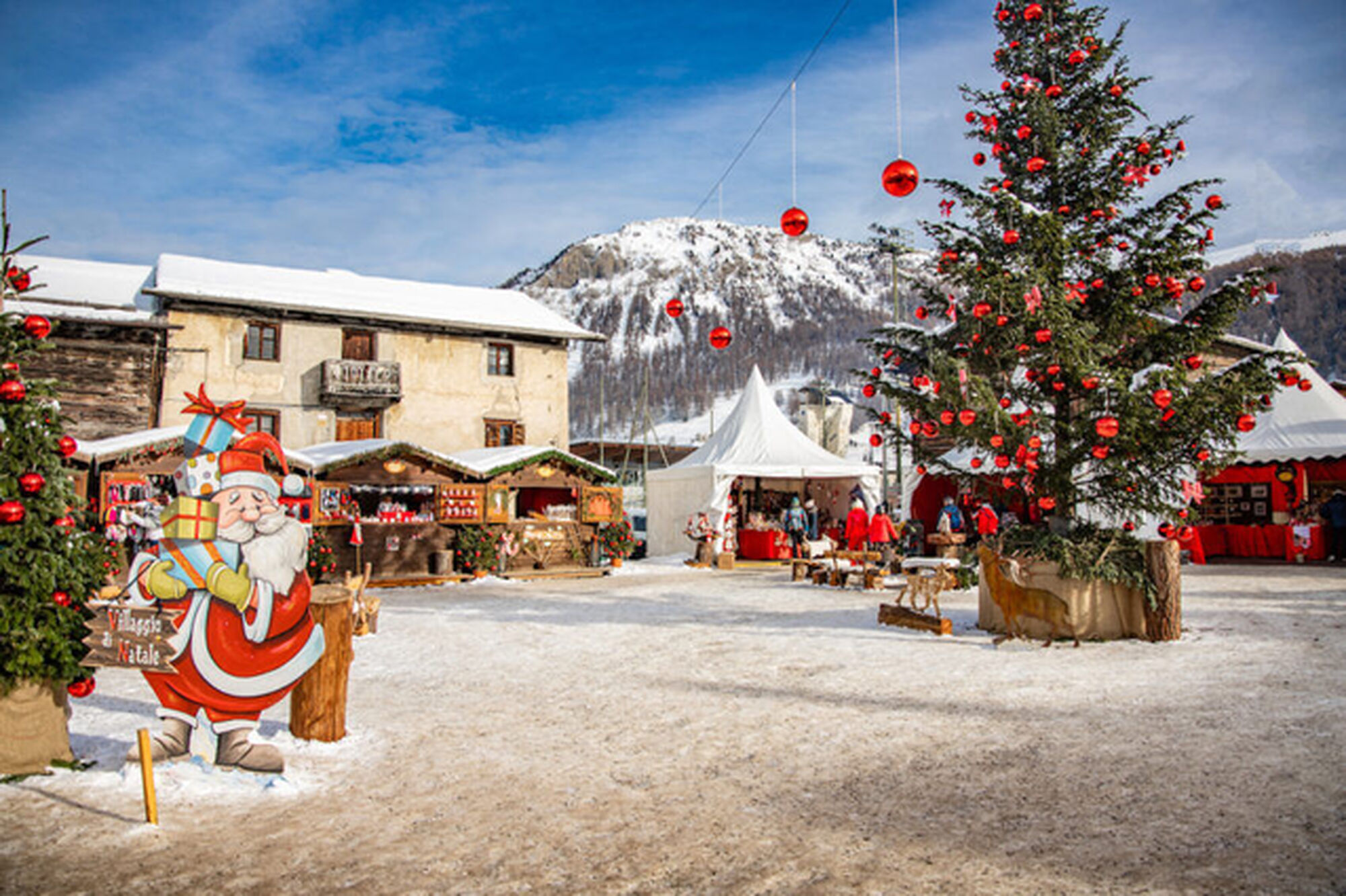 🌟Early Booking Christmas Offer