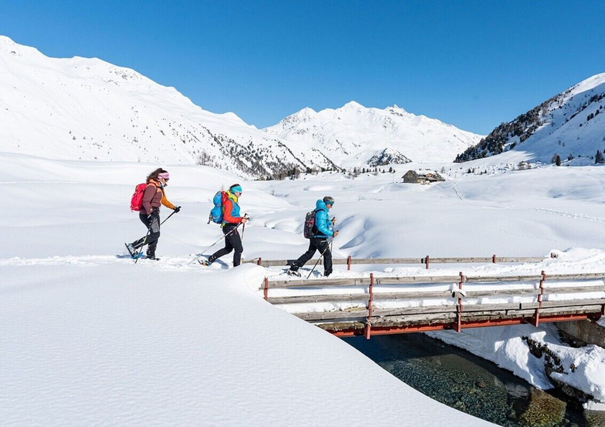 Scoprite la magia delle ciaspolate sulla neve!